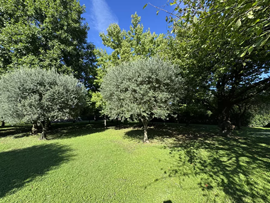 Immagine 37 di Rustico / casale in vendita  in Via Molinetto a Romano D'ezzelino