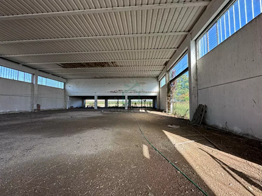 Immagine 3 di Capannone industriale in vendita  in Via Strà a Bonavigo