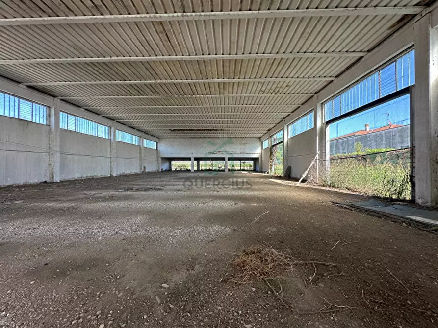 Immagine 4 di Capannone industriale in vendita  in Via Strà a Bonavigo