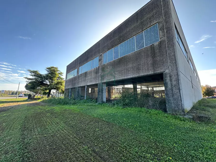 Immagine 5 di Capannone industriale in vendita  in Via Strà a Bonavigo