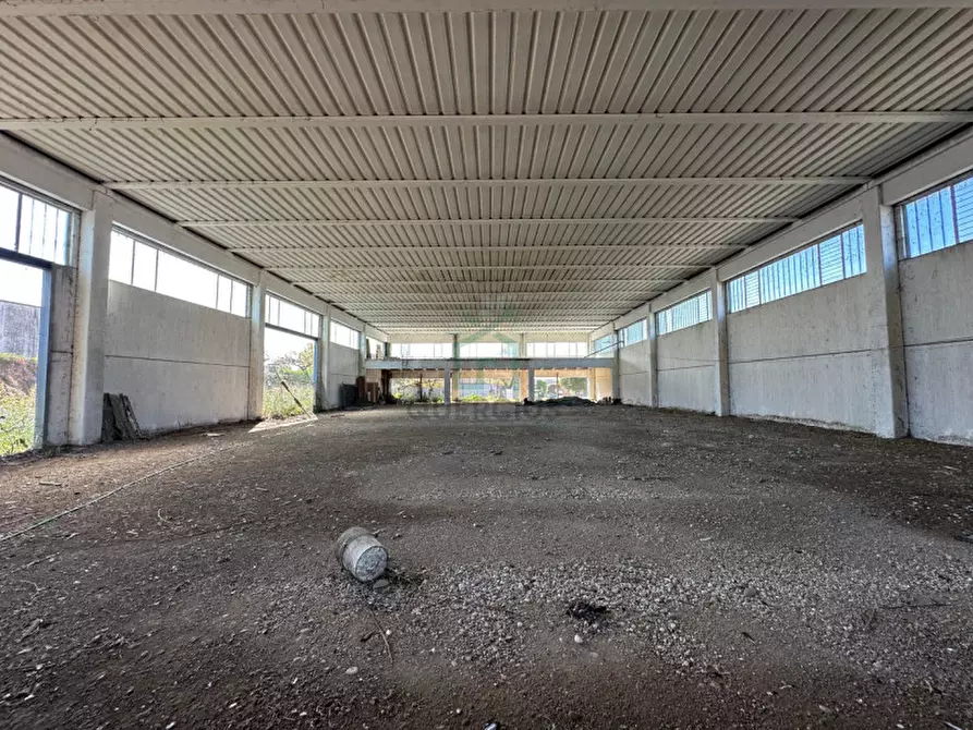 Immagine 7 di Capannone industriale in vendita  in Via Strà a Bonavigo