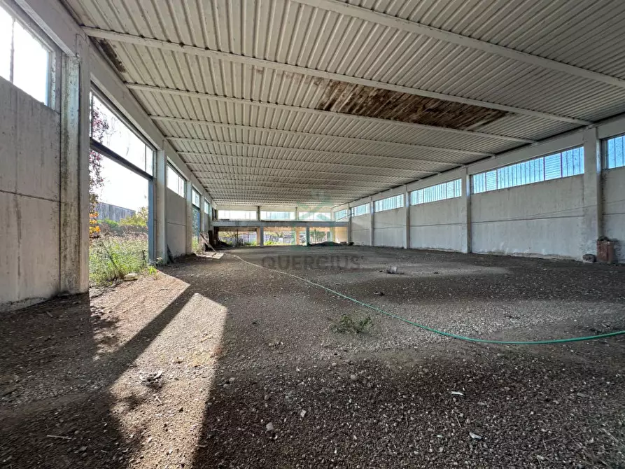 Immagine 8 di Capannone industriale in vendita  in Via Strà a Bonavigo