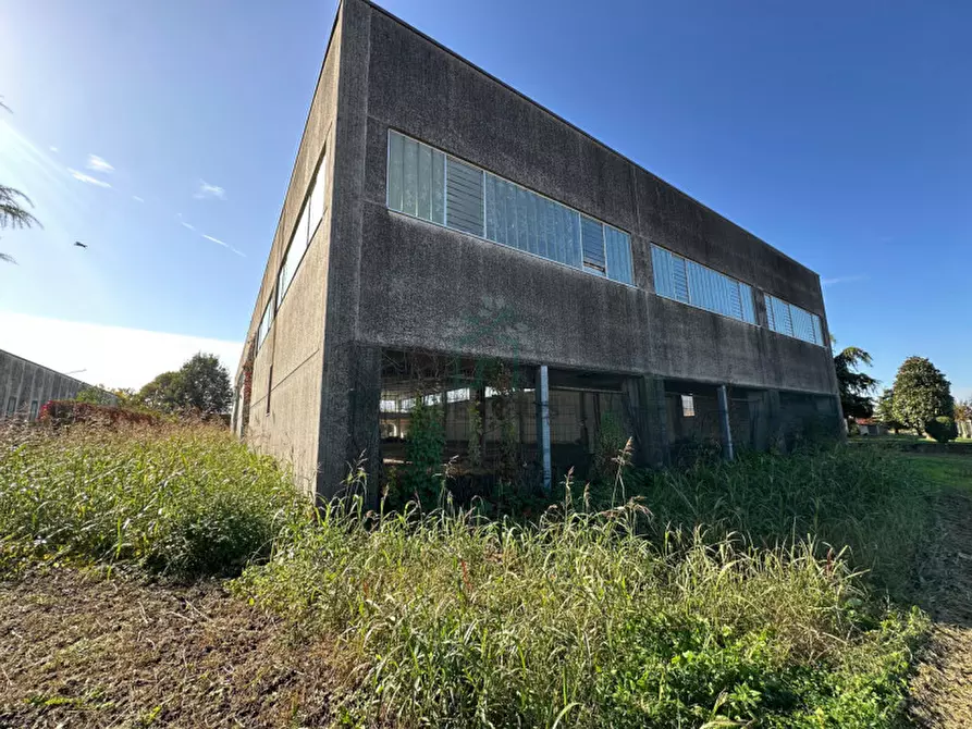 Immagine 9 di Capannone industriale in vendita  in Via Strà a Bonavigo