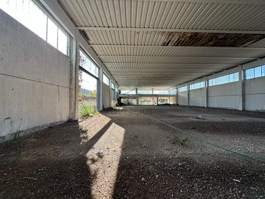 Immagine 10 di Capannone industriale in vendita  in Via Strà a Bonavigo