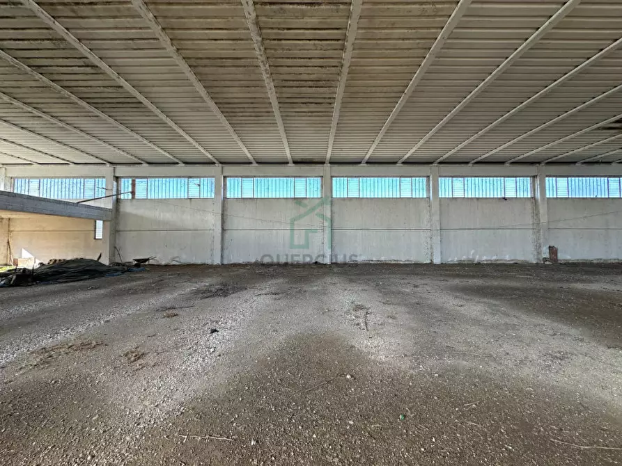 Immagine 12 di Capannone industriale in vendita  in Via Strà a Bonavigo