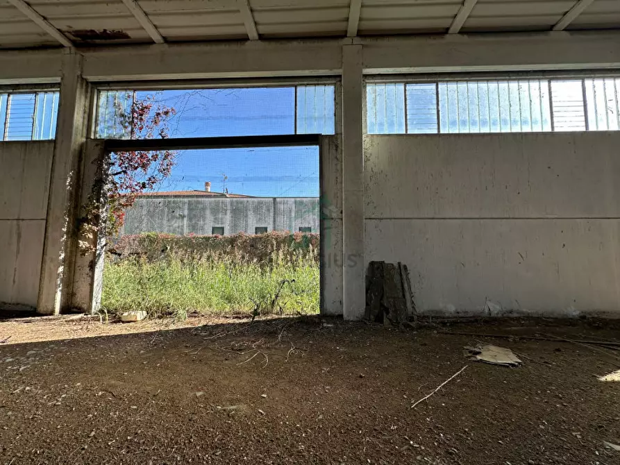 Immagine 16 di Capannone industriale in vendita  in Via Strà a Bonavigo
