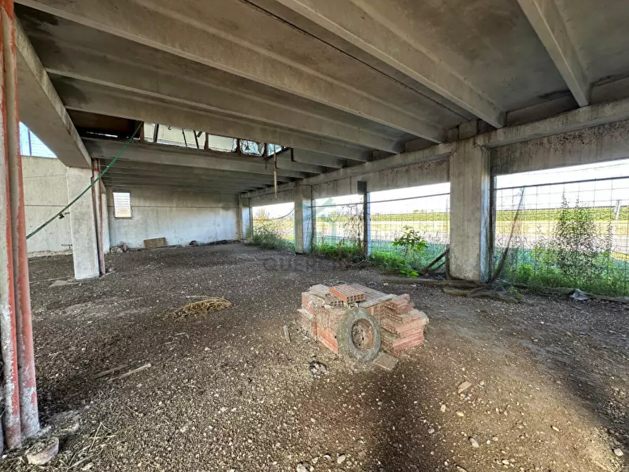 Immagine 18 di Capannone industriale in vendita  in Via Strà a Bonavigo