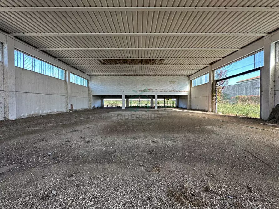 Immagine 19 di Capannone industriale in vendita  in Via Strà a Bonavigo