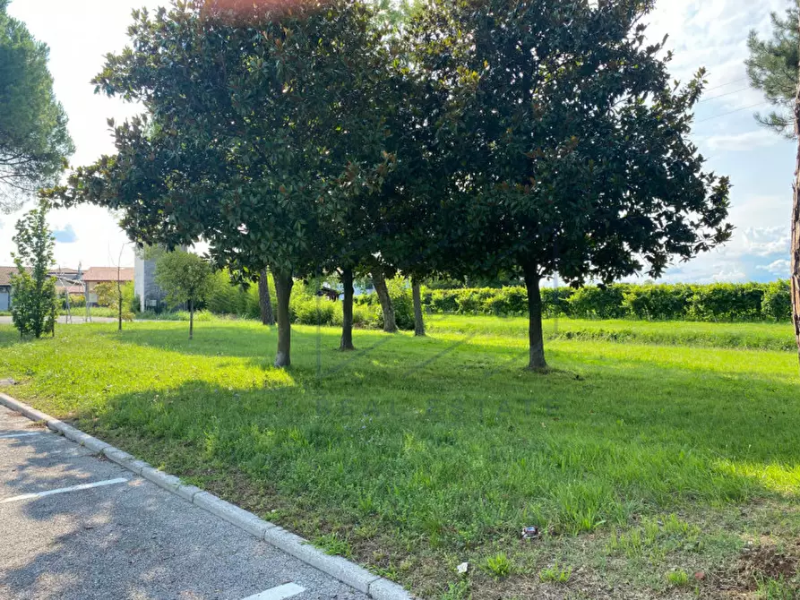 Immagine 9 di Terreno in vendita  a Pravisdomini