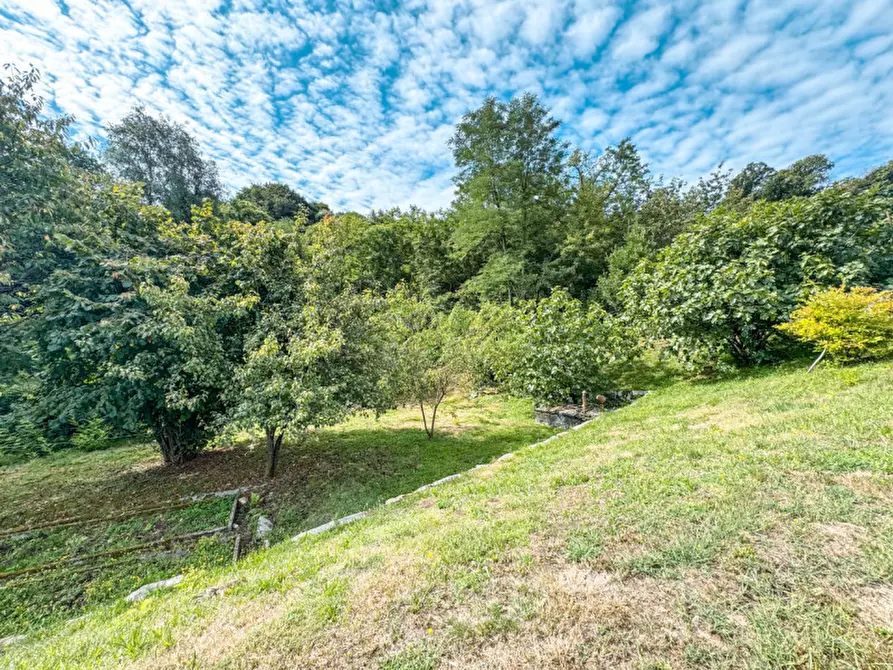 Immagine 8 di Terreno in vendita  in via XXV aprile a San Maurizio D'opaglio