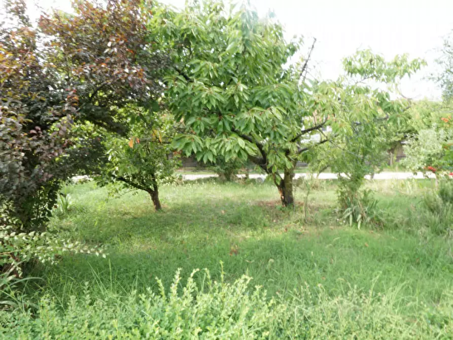 Immagine 3 di Appartamento in vendita  in via Villanova a San Bonifacio