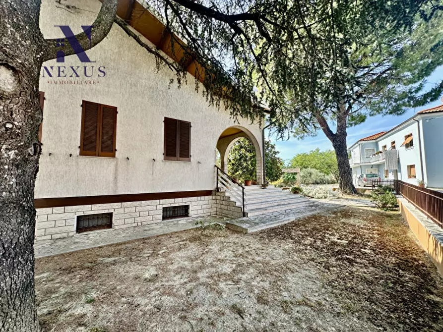 Immagine 3 di Casa indipendente in vendita  a Terre Roveresche