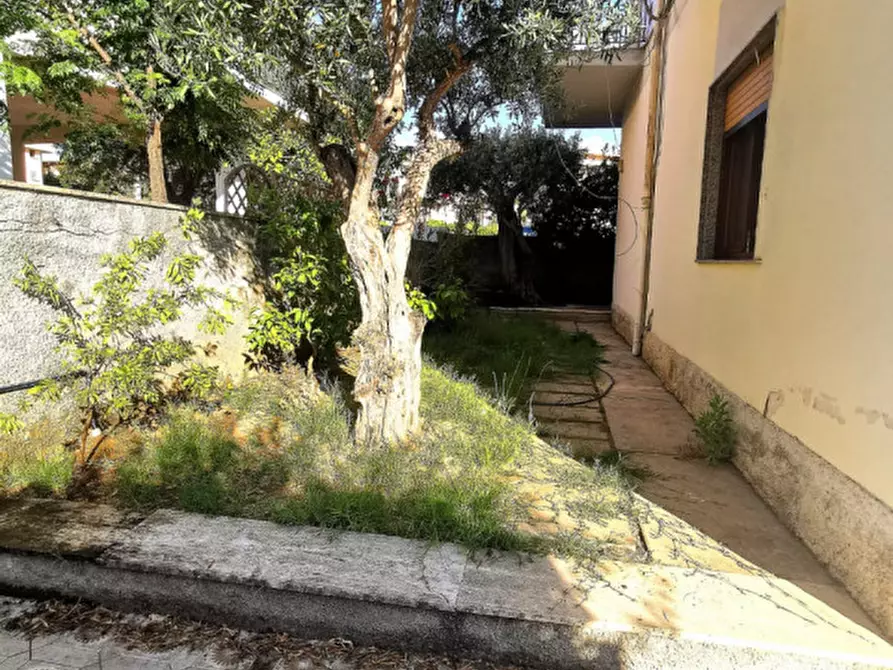 Immagine 2 di Appartamento in vendita  in C.DA PIETRAGRANDE a Montauro