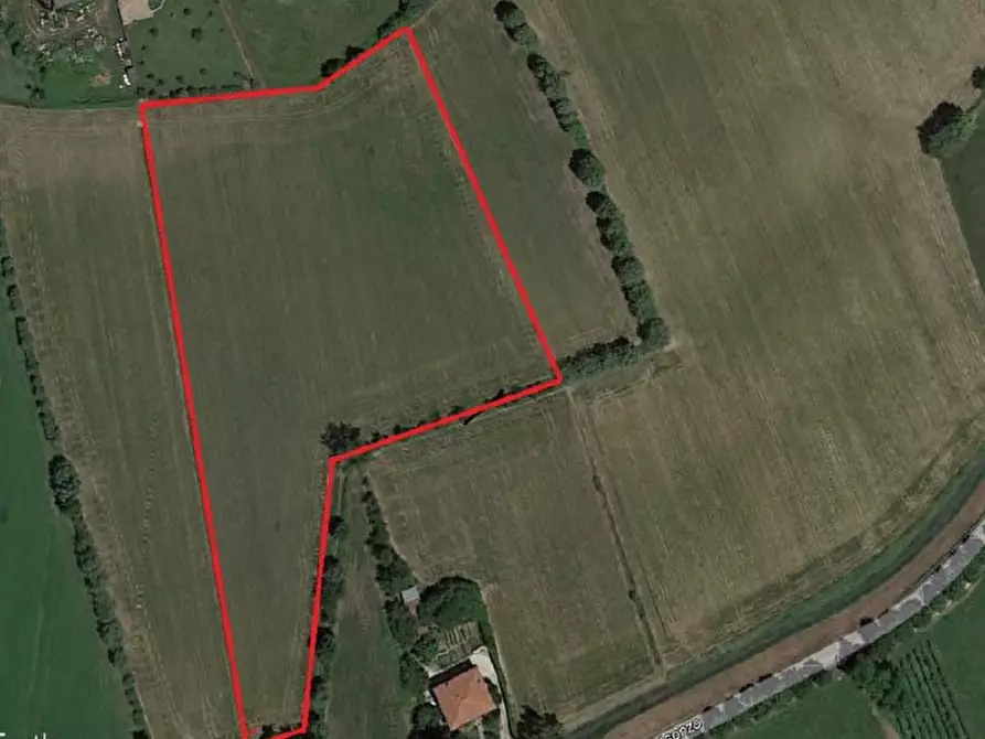 Immagine 2 di Terreno in vendita  in Fossalta a Fossalta Di Portogruaro