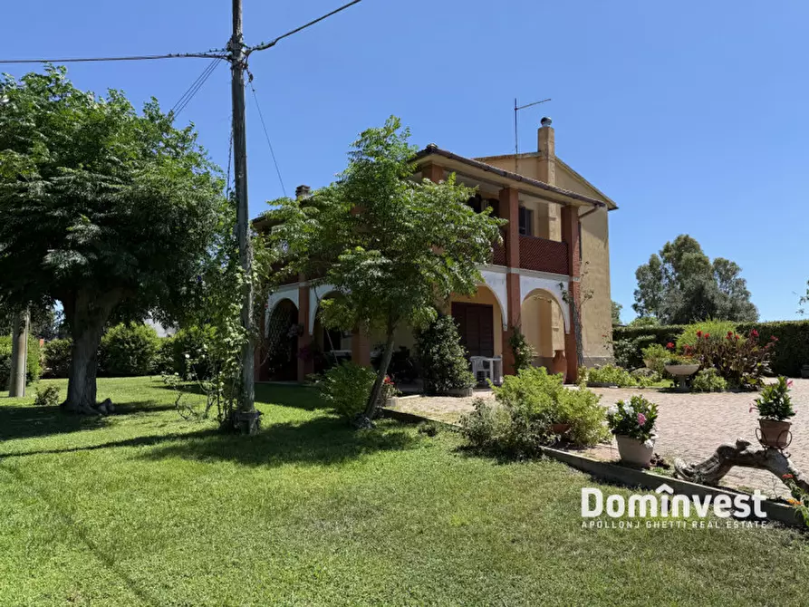 Immagine 4 di Rustico / casale in vendita  in Strada Pedemontana a Capalbio