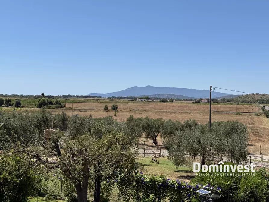 Immagine 9 di Rustico / casale in vendita  in Strada Pedemontana a Capalbio
