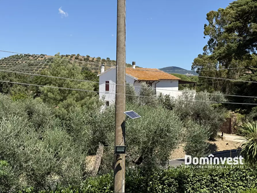 Immagine 11 di Rustico / casale in vendita  in Strada Pedemontana a Capalbio