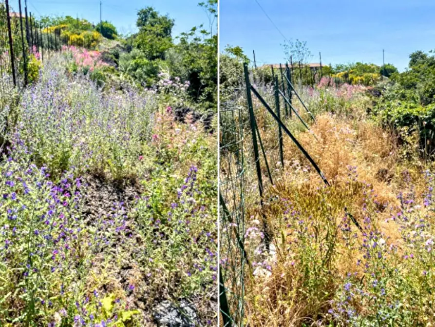 Immagine 6 di Terreno in vendita  in Via C. Colombo, 95030 Mascalucia CT, Italia a Mascalucia
