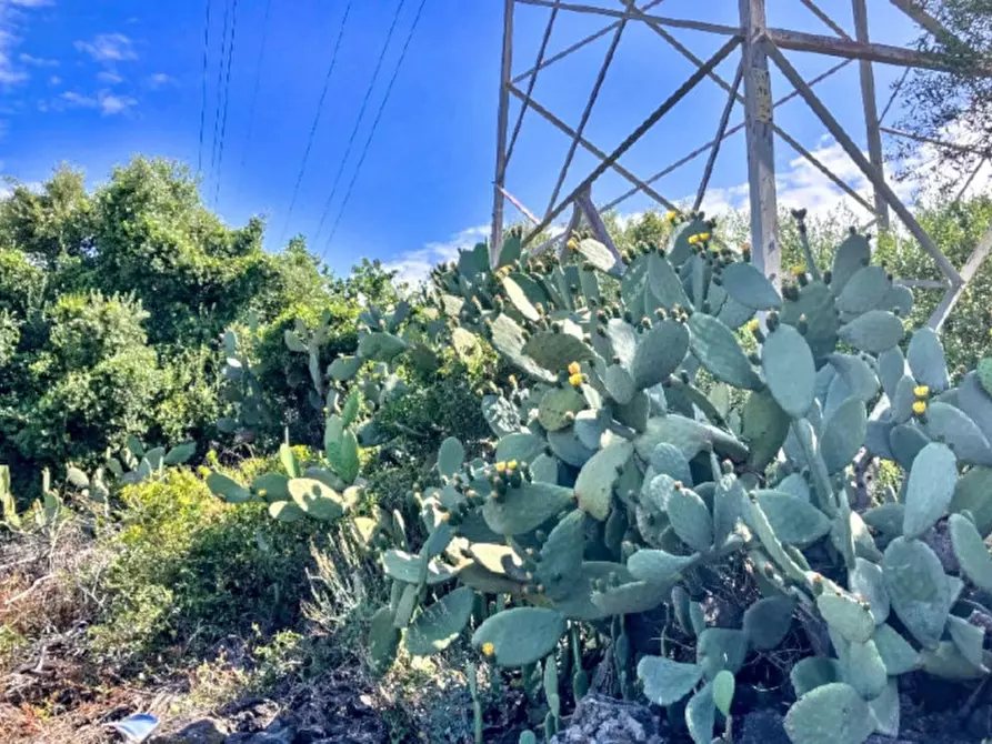 Immagine 3 di Terreno in vendita  in Via Luigi Pirandello, Camporotondo Etneo CT, Italia a Camporotondo Etneo