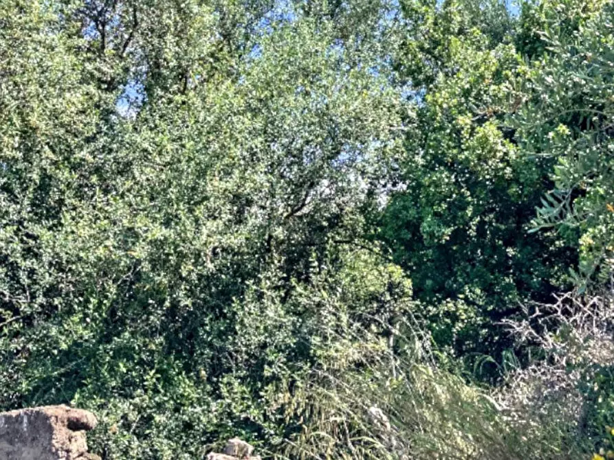 Immagine 4 di Terreno in vendita  in Via Luigi Pirandello, Camporotondo Etneo CT, Italia a Camporotondo Etneo