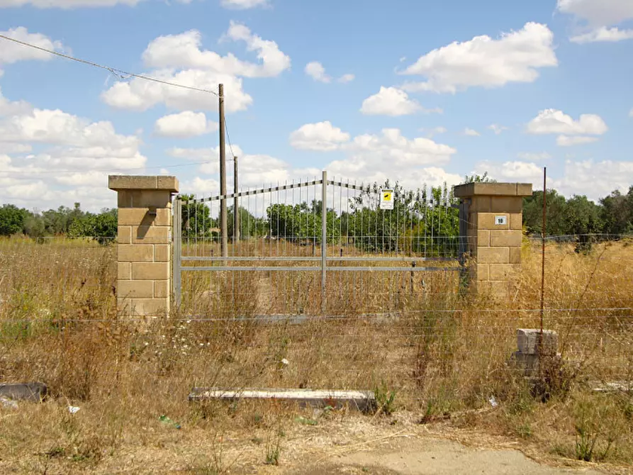 Immagine 1 di Terreno in vendita  in Via Calori, Matino, LE, Italia a Matino