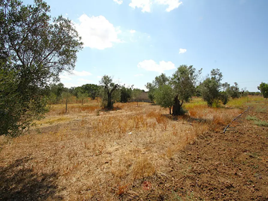 Immagine 2 di Terreno in vendita  in Via Calori, Matino, LE, Italia a Matino