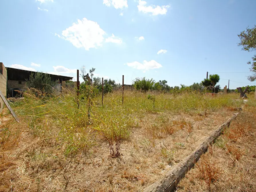 Immagine 3 di Terreno in vendita  in Via Calori, Matino, LE, Italia a Matino