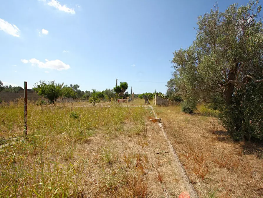 Immagine 4 di Terreno in vendita  in Via Calori, Matino, LE, Italia a Matino