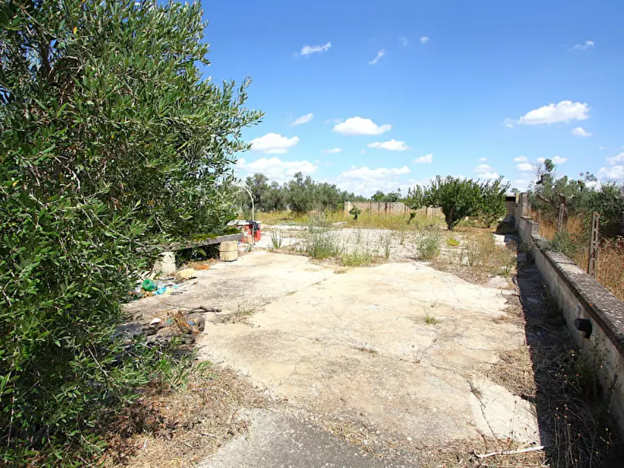 Immagine 5 di Terreno in vendita  in Via Calori, Matino, LE, Italia a Matino