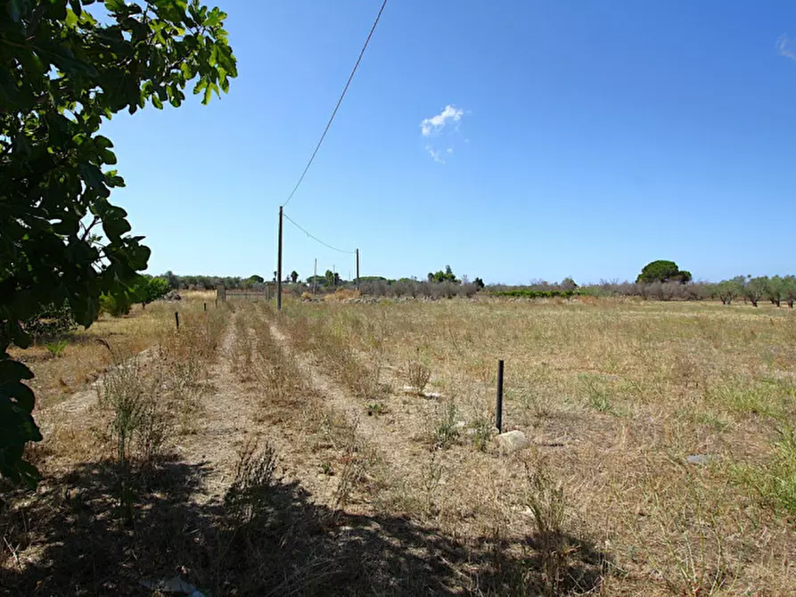 Immagine 6 di Terreno in vendita  in Via Calori, Matino, LE, Italia a Matino
