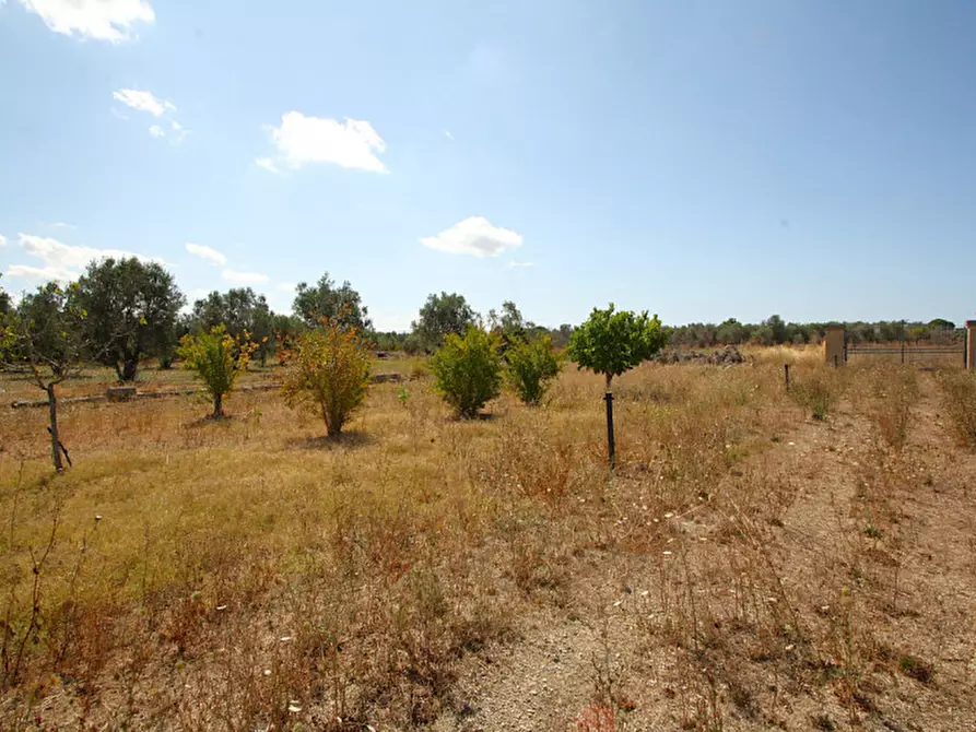 Immagine 7 di Terreno in vendita  in Via Calori, Matino, LE, Italia a Matino