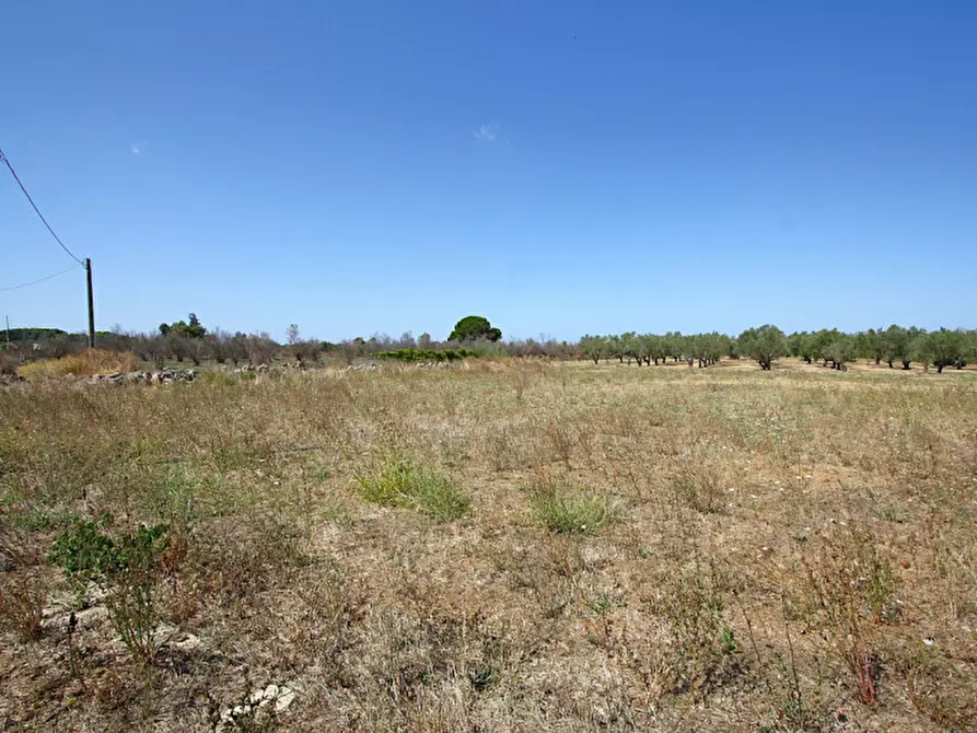 Immagine 8 di Terreno in vendita  in Via Calori, Matino, LE, Italia a Matino