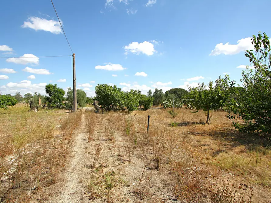 Immagine 9 di Terreno in vendita  in Via Calori, Matino, LE, Italia a Matino