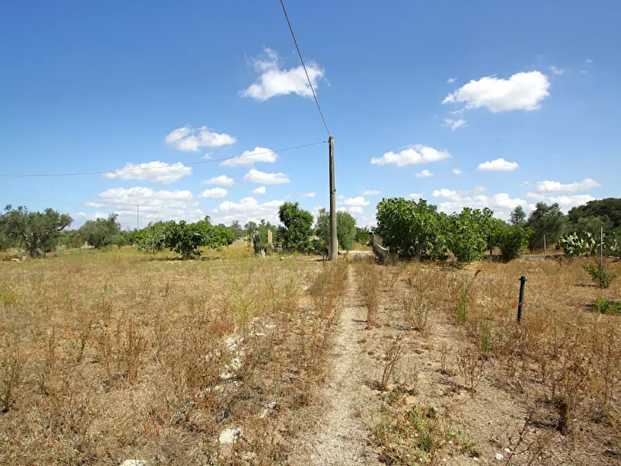 Immagine 10 di Terreno in vendita  in Via Calori, Matino, LE, Italia a Matino