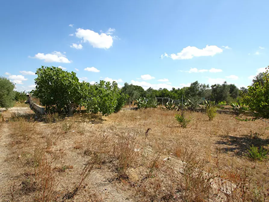 Immagine 11 di Terreno in vendita  in Via Calori, Matino, LE, Italia a Matino