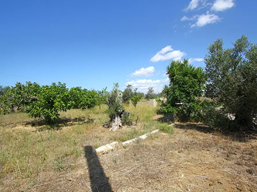 Immagine 12 di Terreno in vendita  in Via Calori, Matino, LE, Italia a Matino