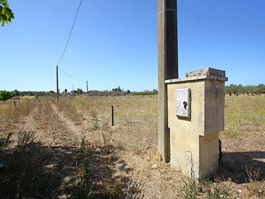 Immagine 13 di Terreno in vendita  in Via Calori, Matino, LE, Italia a Matino