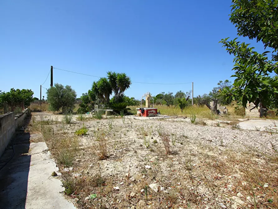 Immagine 14 di Terreno in vendita  in Via Calori, Matino, LE, Italia a Matino