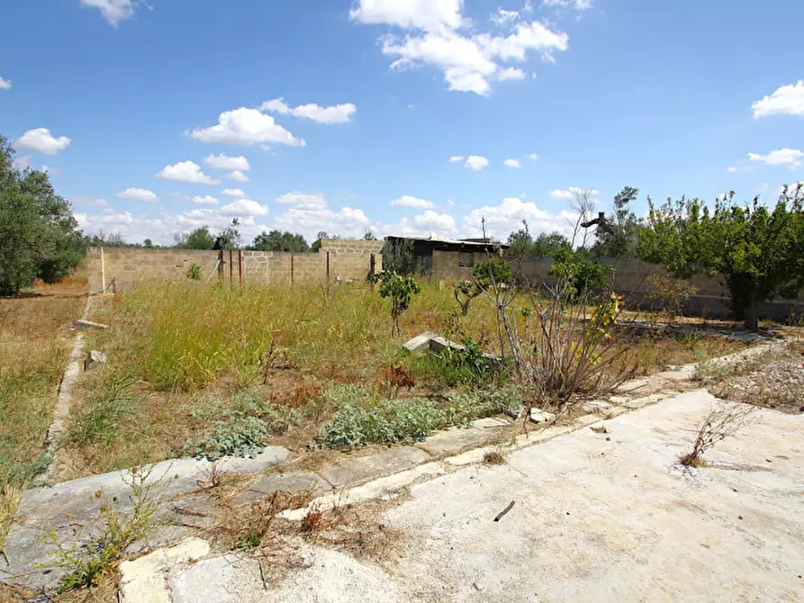 Immagine 16 di Terreno in vendita  in Via Calori, Matino, LE, Italia a Matino