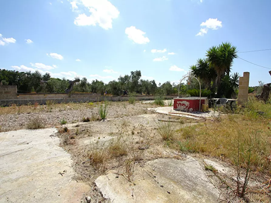 Immagine 17 di Terreno in vendita  in Via Calori, Matino, LE, Italia a Matino