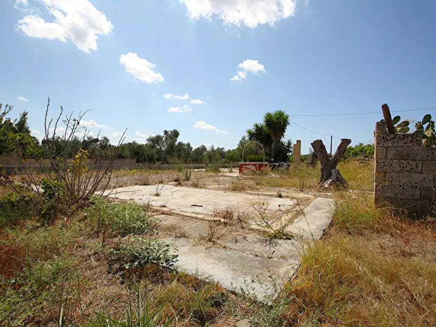 Immagine 18 di Terreno in vendita  in Via Calori, Matino, LE, Italia a Matino