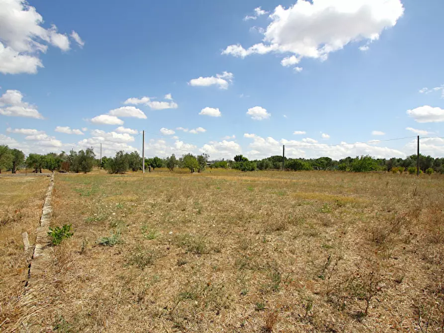 Immagine 20 di Terreno in vendita  in Via Calori, Matino, LE, Italia a Matino