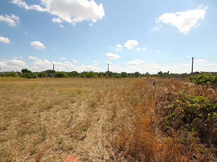 Immagine 21 di Terreno in vendita  in Via Calori, Matino, LE, Italia a Matino