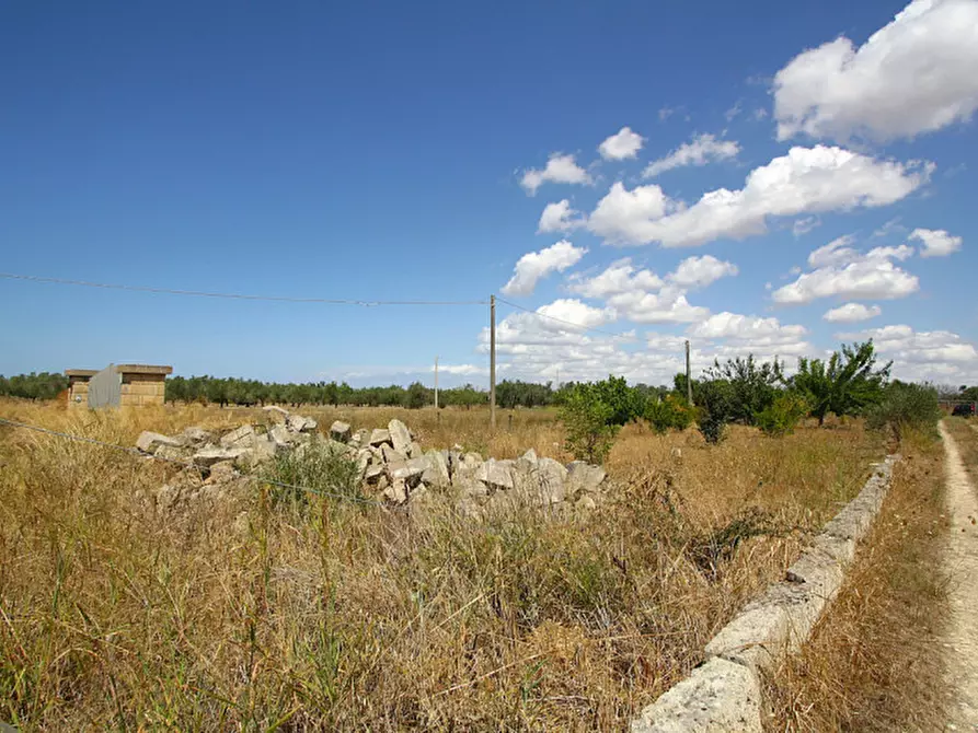 Immagine 22 di Terreno in vendita  in Via Calori, Matino, LE, Italia a Matino