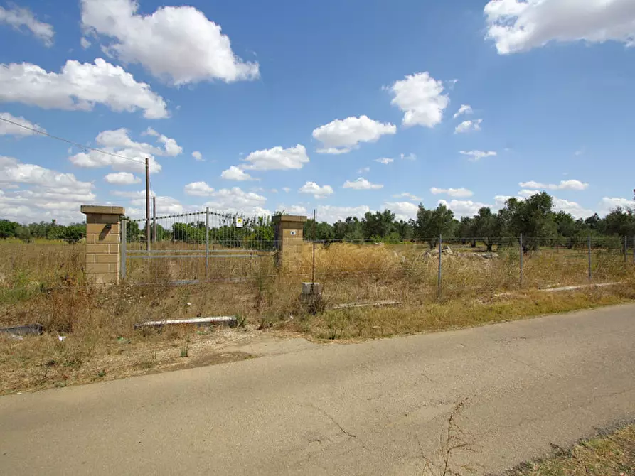 Immagine 23 di Terreno in vendita  in Via Calori, Matino, LE, Italia a Matino