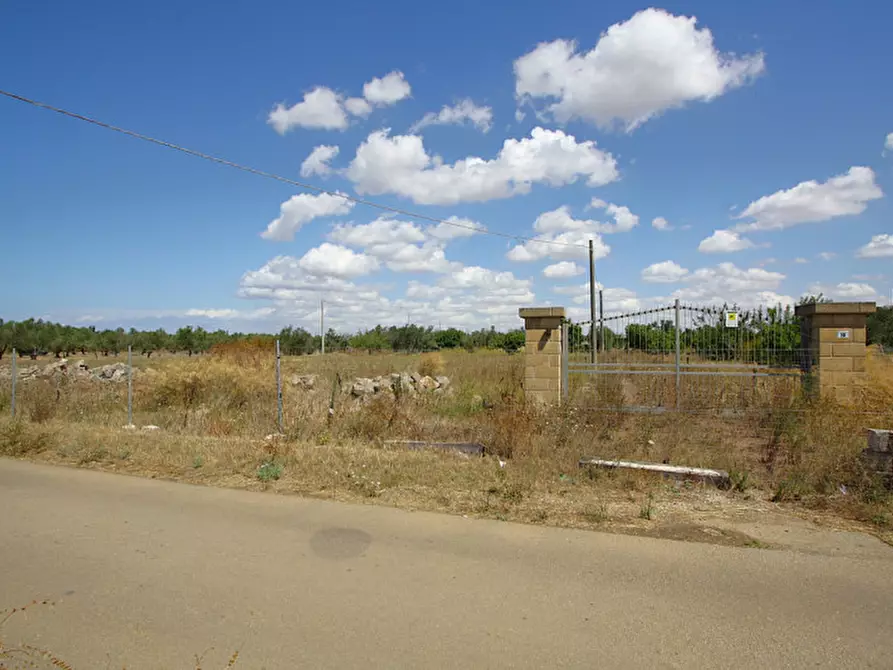 Immagine 24 di Terreno in vendita  in Via Calori, Matino, LE, Italia a Matino