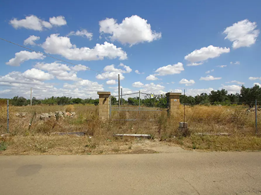 Immagine 25 di Terreno in vendita  in Via Calori, Matino, LE, Italia a Matino
