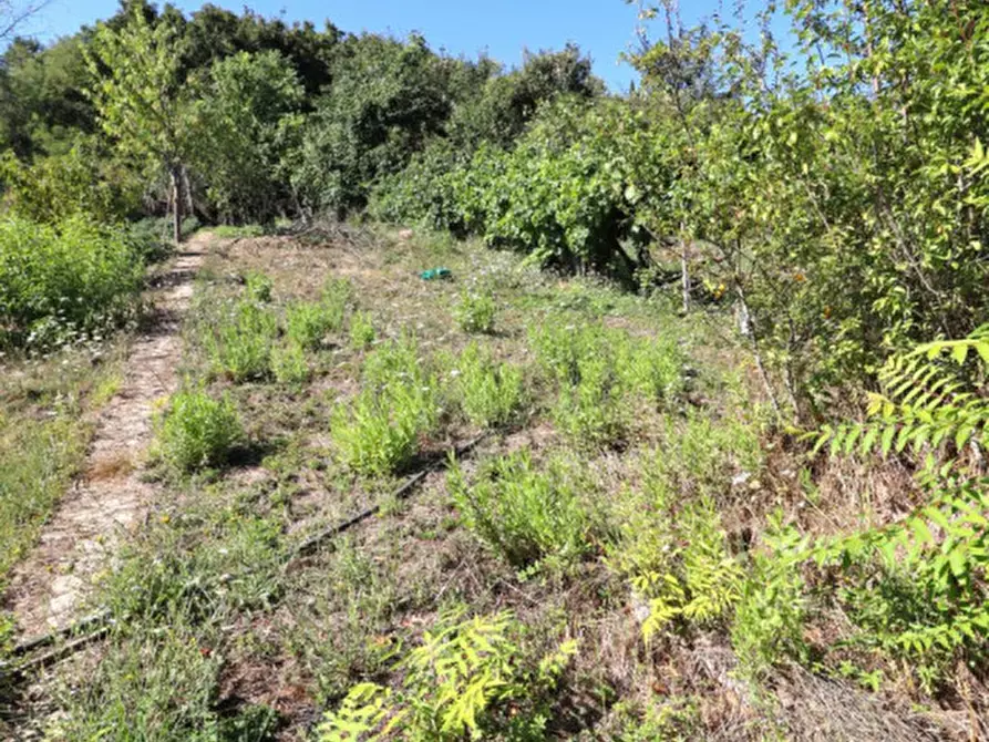 Immagine 23 di Appartamento in vendita  in Via Guglielmo Marconi a Montevarchi