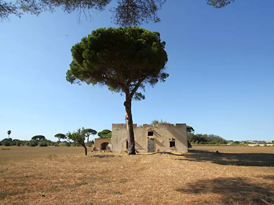 Immagine 2 di Villa in vendita  in Via Parabita a Alezio