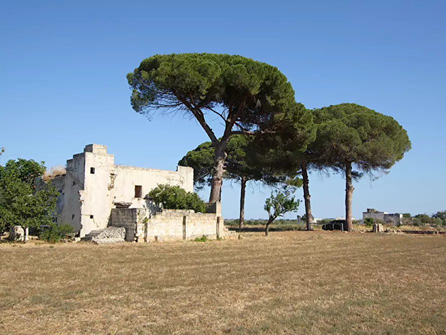 Immagine 2 di Villa in vendita  in Via Parabita a Alezio